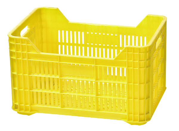 Dispossable Crate Mould 2